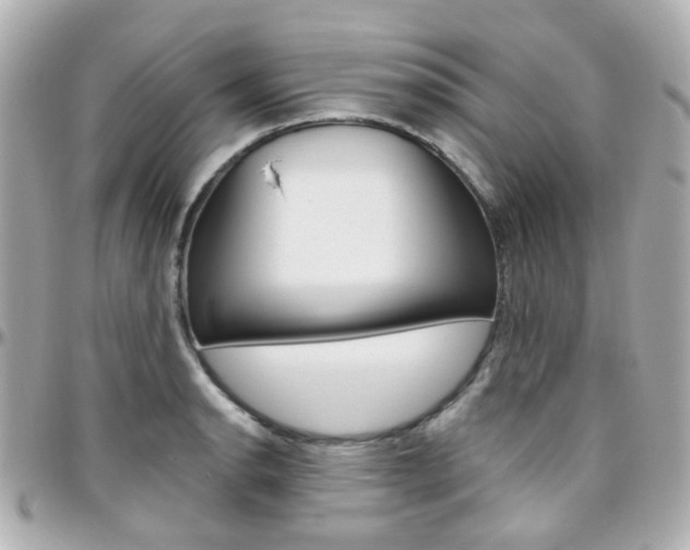 X0000096411134200801241019
