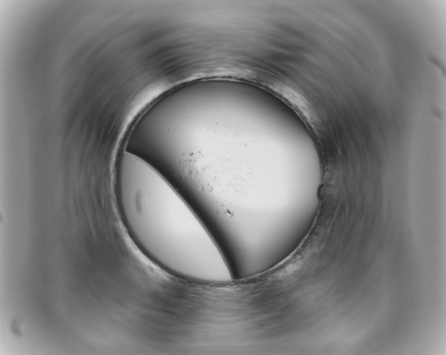 X0000096411135200801241019