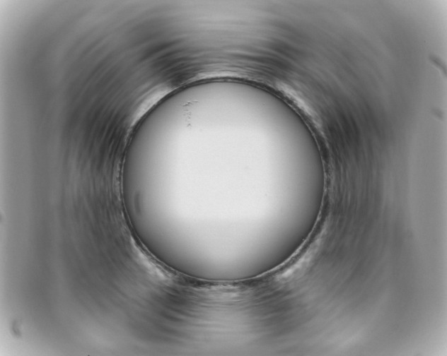 X0000096411137200801241019