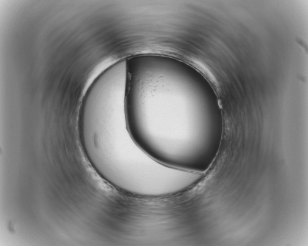 X0000096411138200801241019