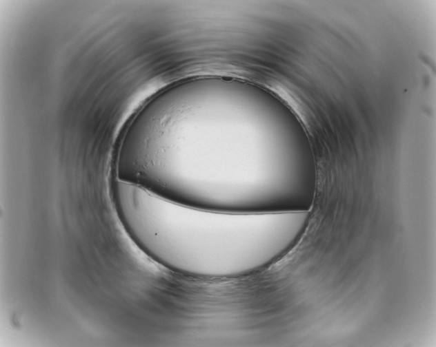 X0000096411139200801241019