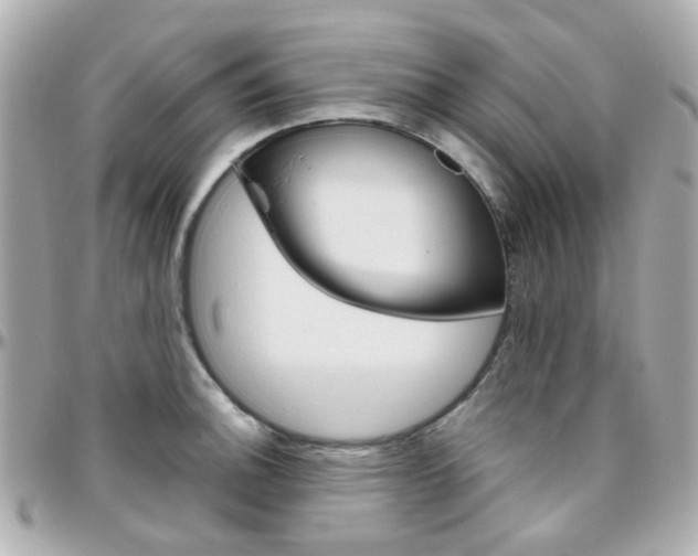 X0000096411140200801241019