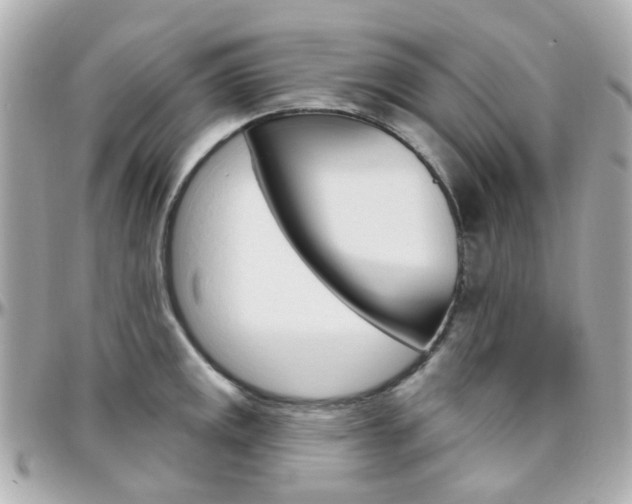 X0000096411141200801241019