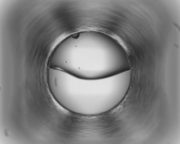 X0000096411143200801241019