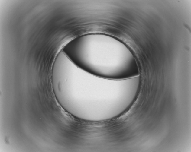 X0000096411145200801241020