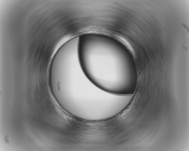 X0000096411146200801241020