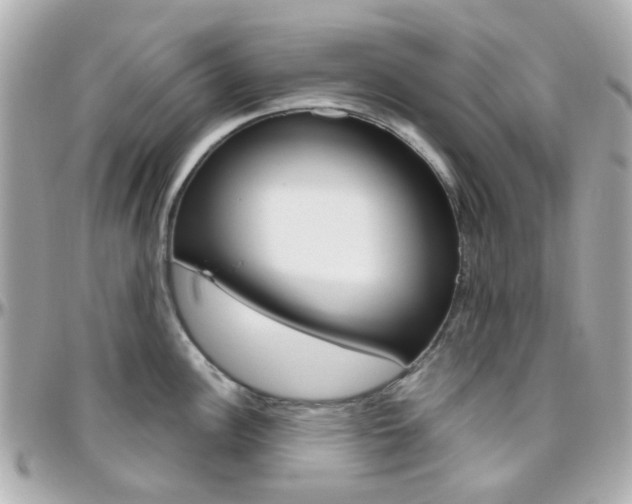 X0000096411148200801241020