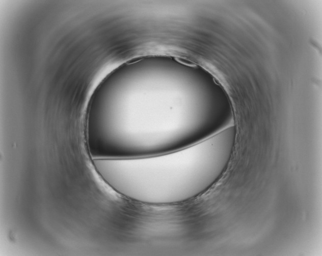 X0000096411152200801241020