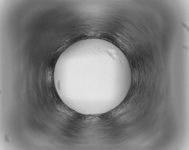 X0000096411154200801241019