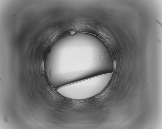 X0000096411155200801241019