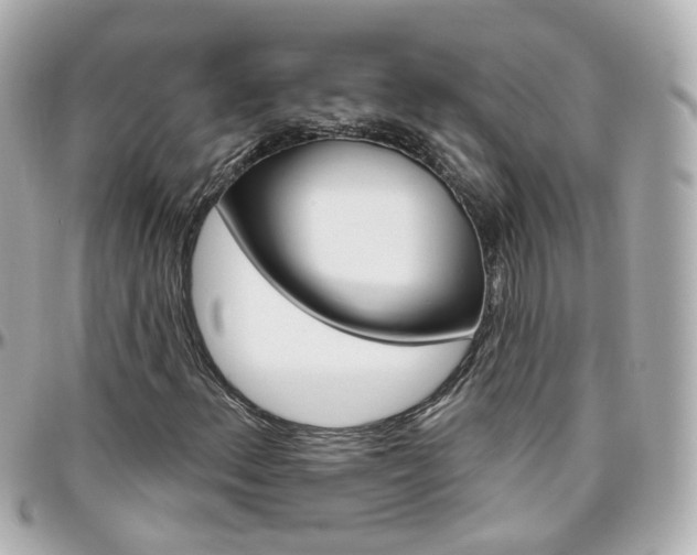 X0000096411156200801241019