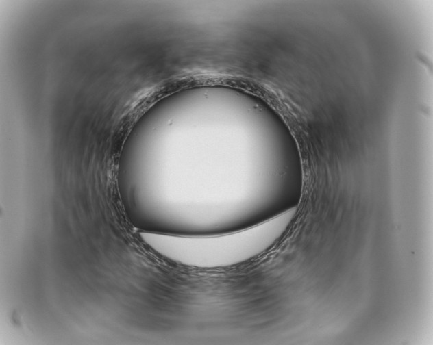 X0000096411157200801241019
