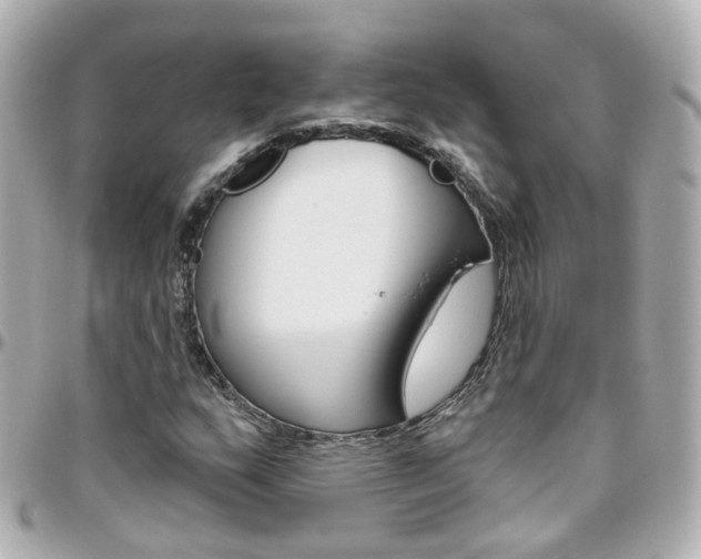 X0000096411159200801241019