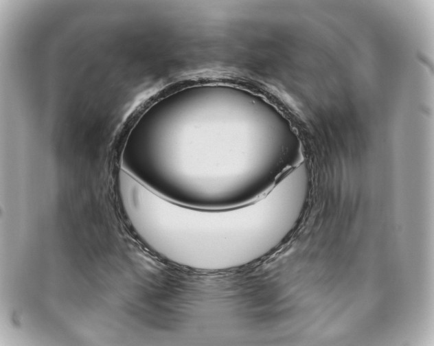 X0000096411160200801241019