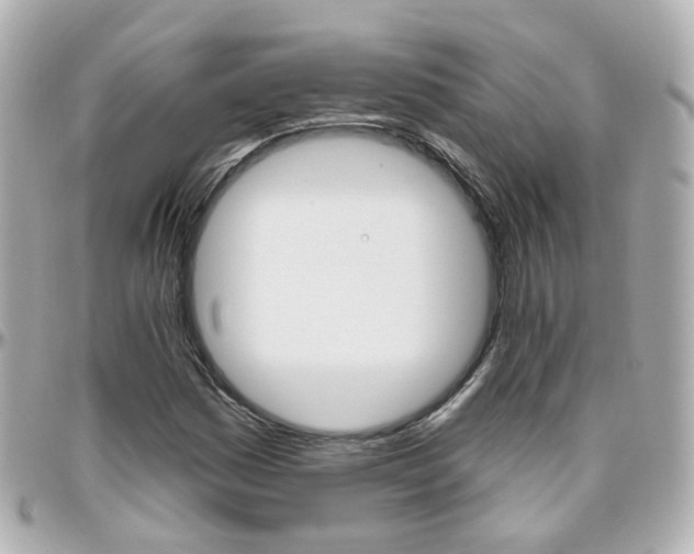 X0000096411161200801241019
