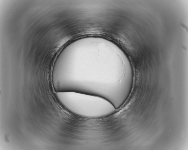 X0000096411162200801241019