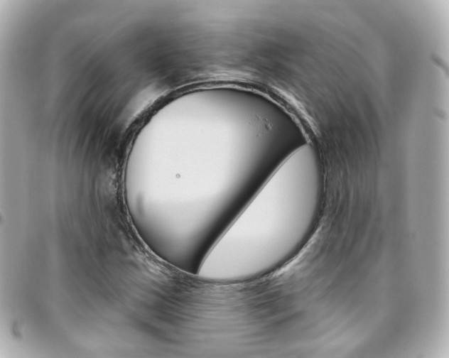 X0000096411163200801241019