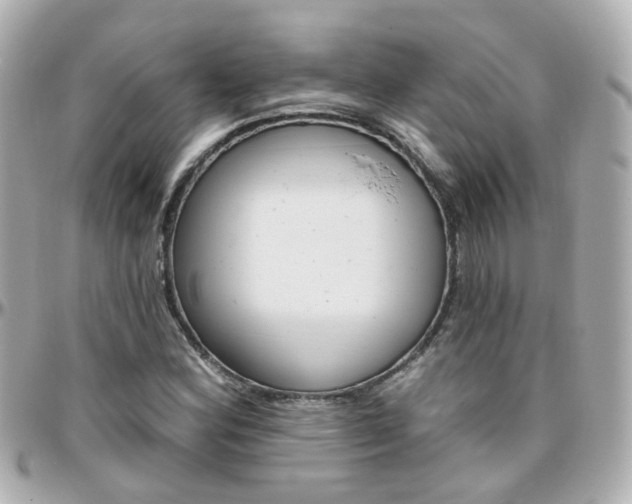 X0000096411164200801241019