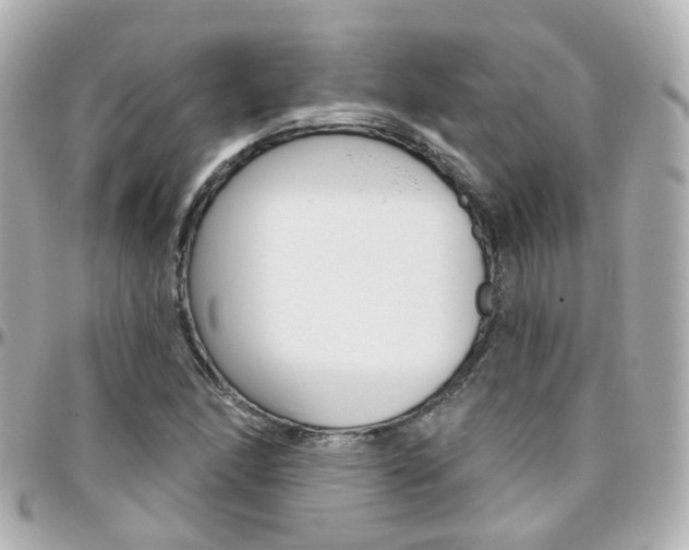 X0000096411166200801241019