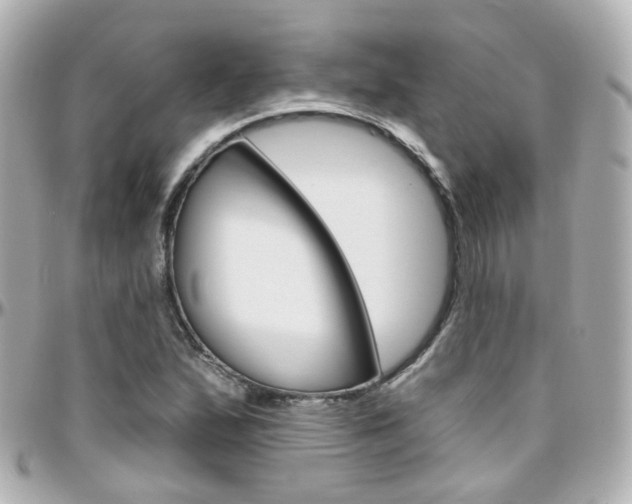 X0000096411167200801241019