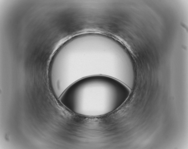 X0000096411168200801241019