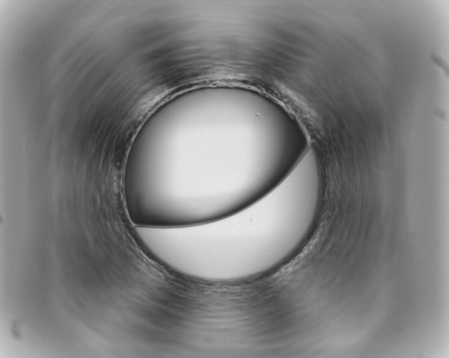 X0000096411169200801241019