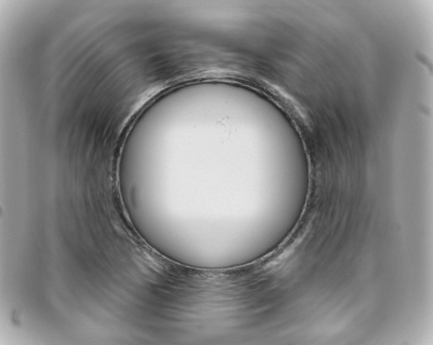 X0000096411170200801241019