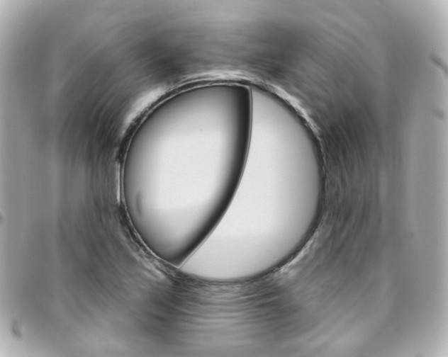 X0000096411171200801241019