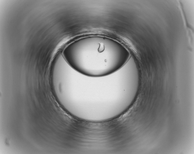 X0000096411172200801241019