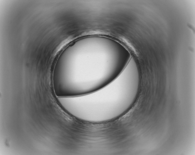 X0000096411173200801241019