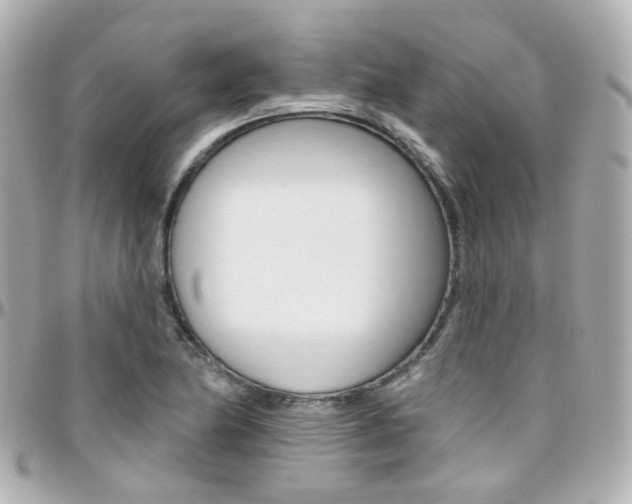 X0000096411174200801241019