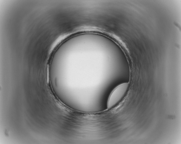 X0000096411175200801241019