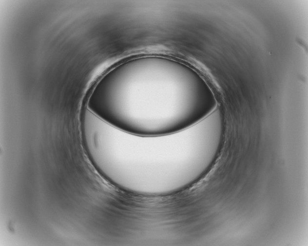 X0000096411176200801241019