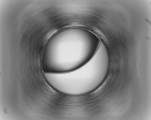 X0000096411177200801241019