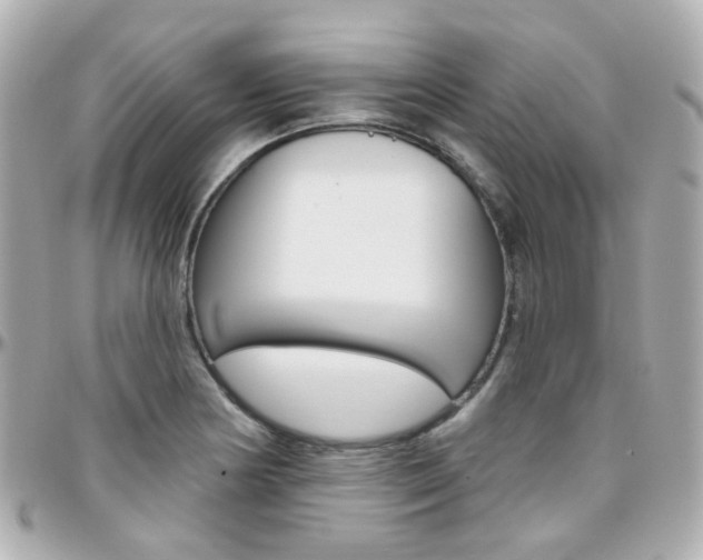 X0000096411178200801241019