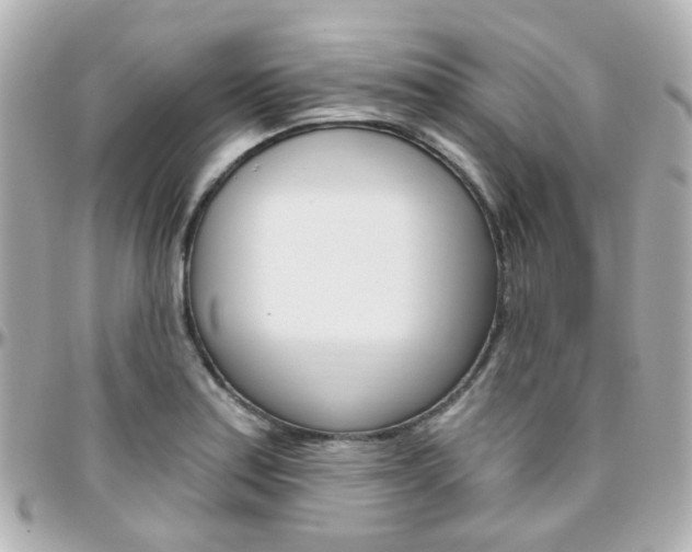 X0000096411179200801241019