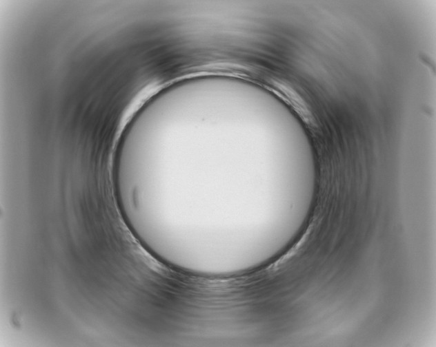 X0000096411180200801241019