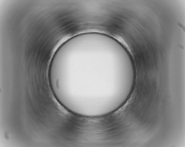 X0000096411181200801241019