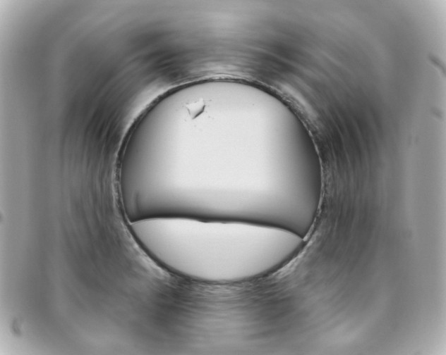X0000096411182200801241019