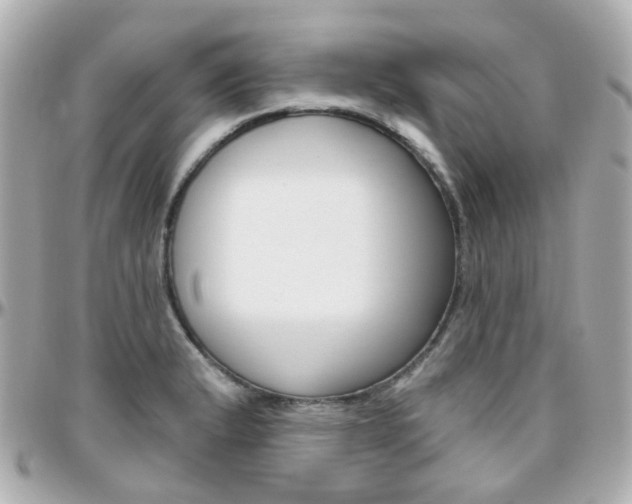 X0000096411183200801241019