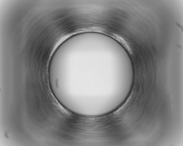 X0000096411184200801241019