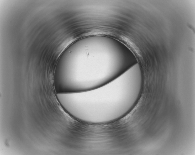 X0000096411185200801241019