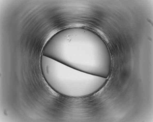 X0000096411186200801241019