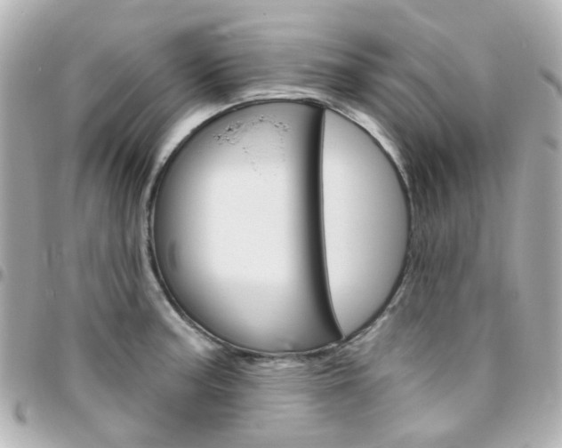 X0000096411187200801241018