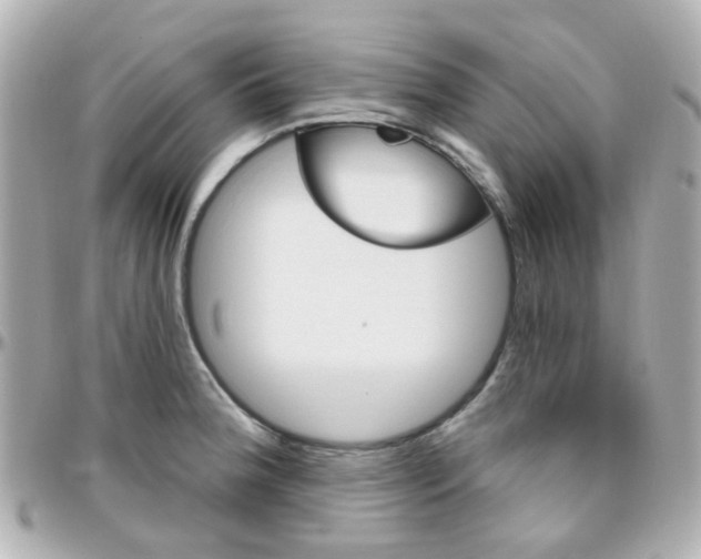 X0000096411188200801241018