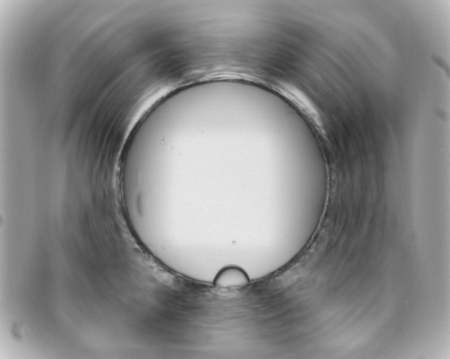 X0000096411190200801241018