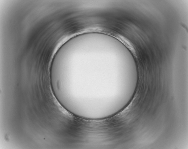 X0000096411192200801241018