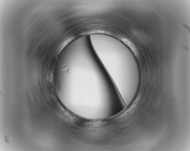 X0000096411193200801241018