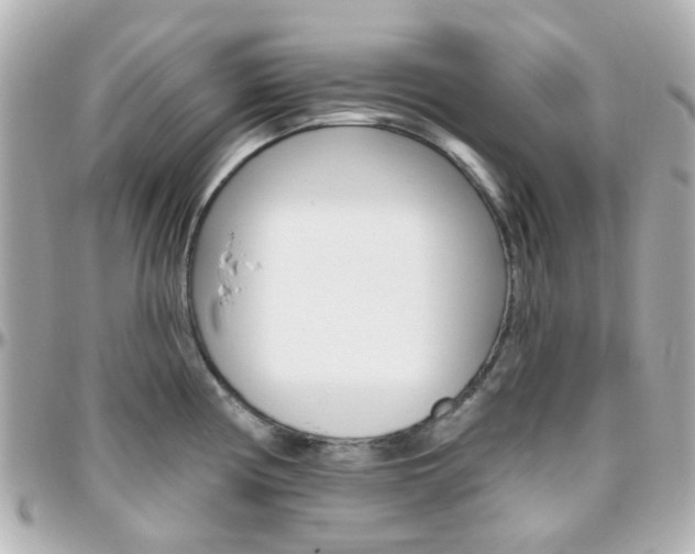 X0000096411194200801241018