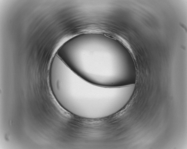 X0000096411195200801241018